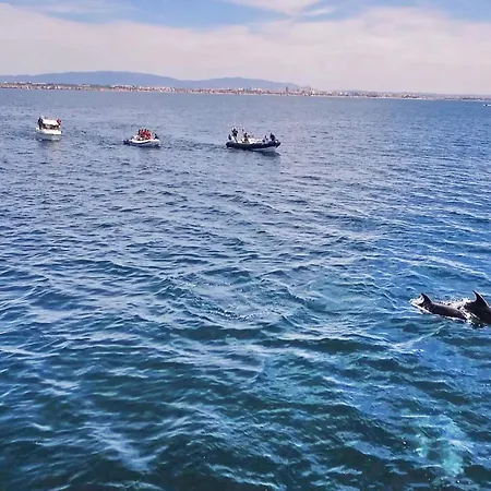 别墅 Honolulu By Algarve Vacation