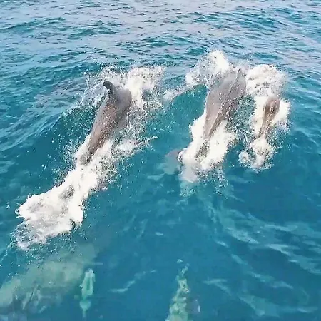 别墅 Honolulu By Algarve Vacation 阿尔布费拉